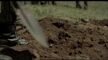 fulcrum-triumph 2024 720p web